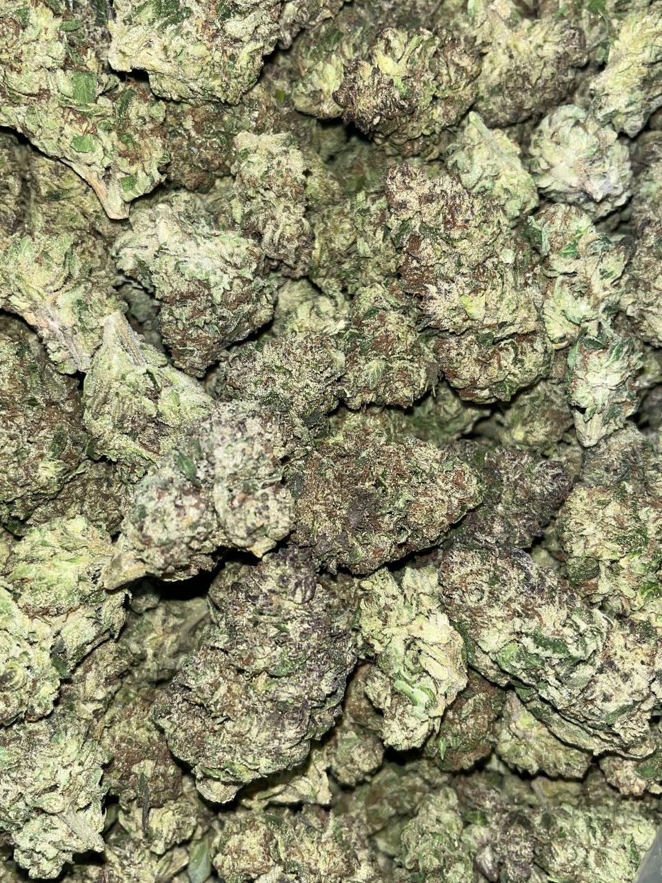 Biscotti THCA 2 Buy Biscotti THCA