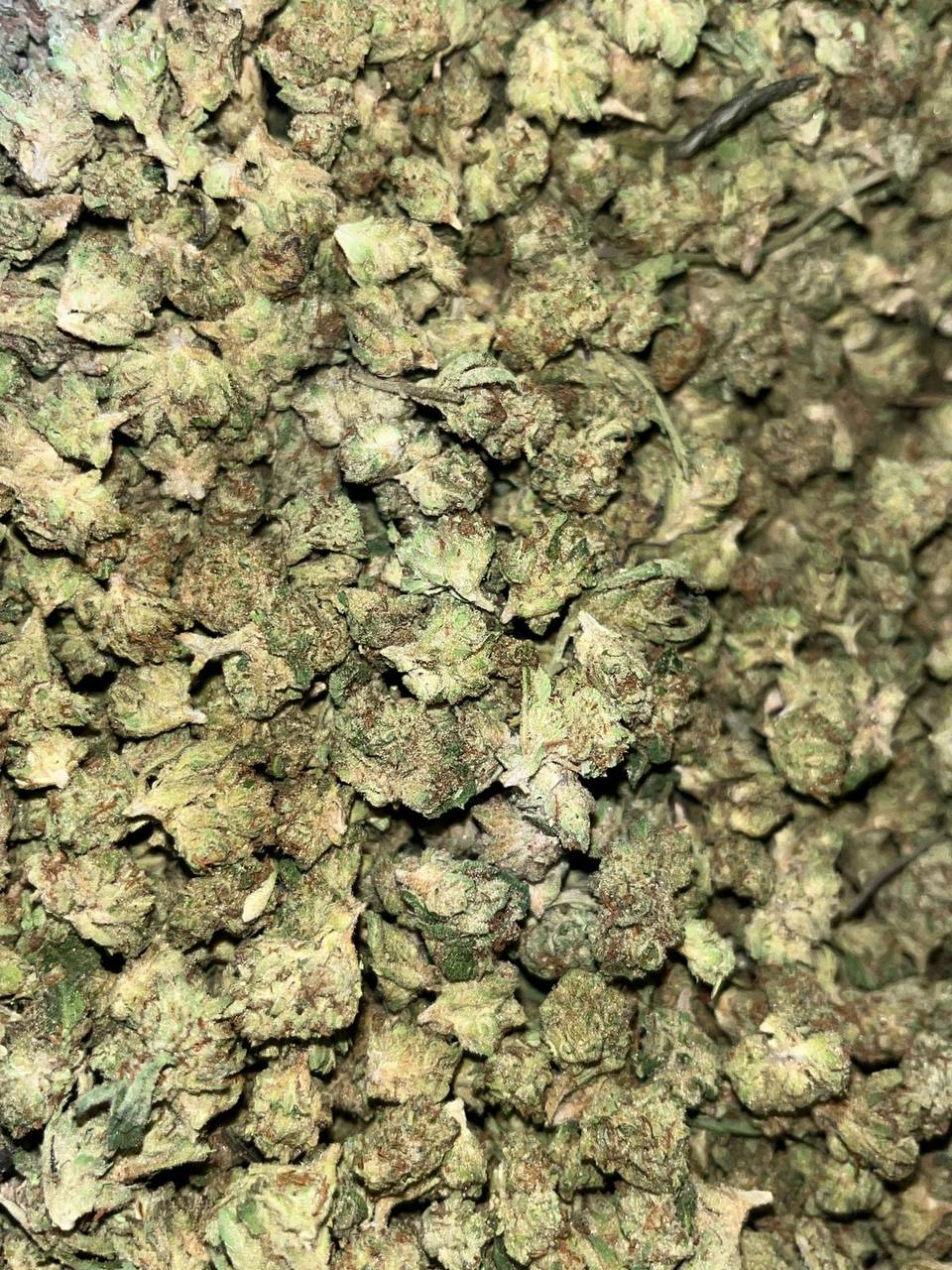Biscotti THCa Smalls Buds 1 Buy Biscotti Smalls