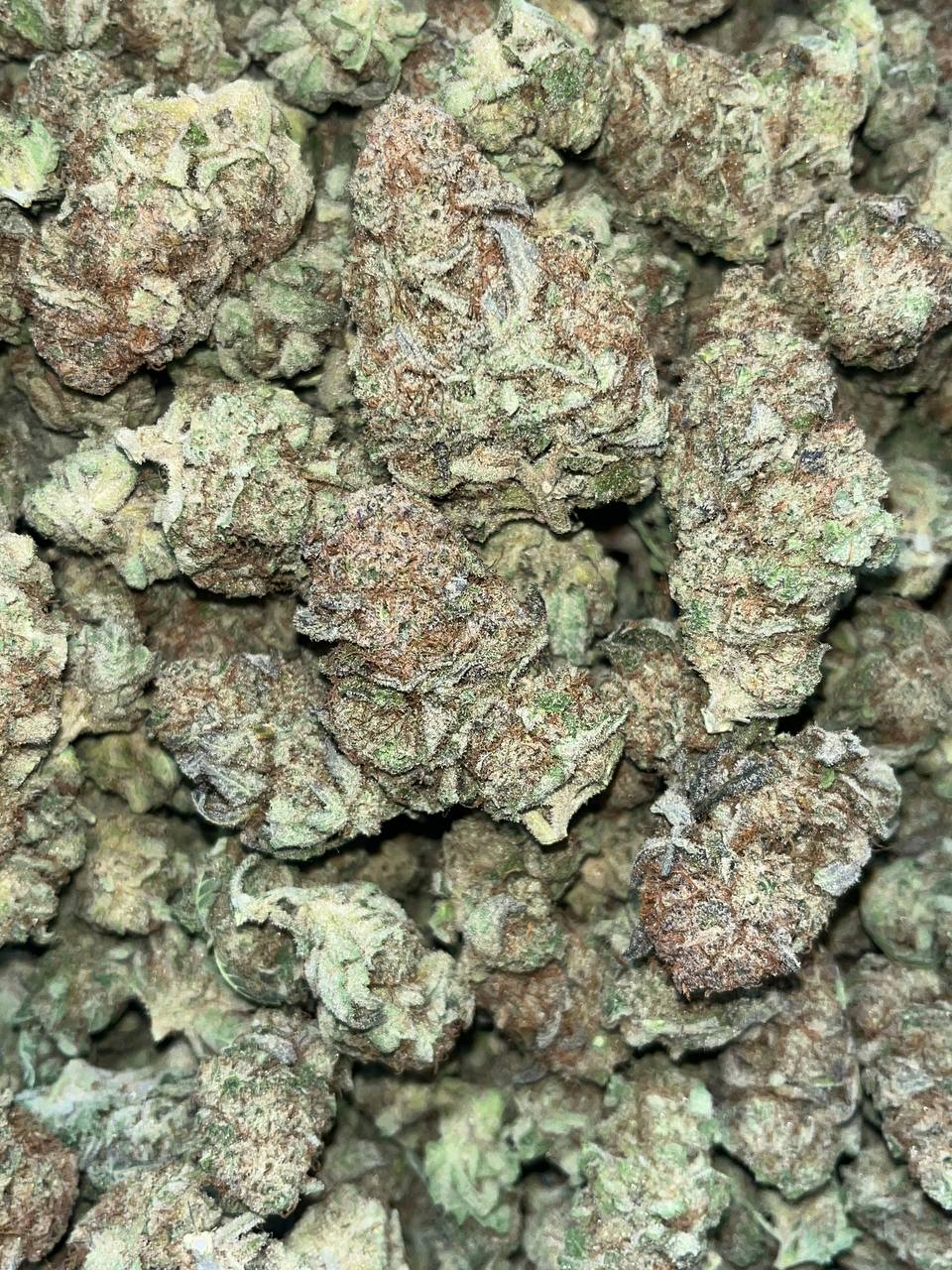 Blueberry Muffins THCa 2 Blueberry Muffins THCA