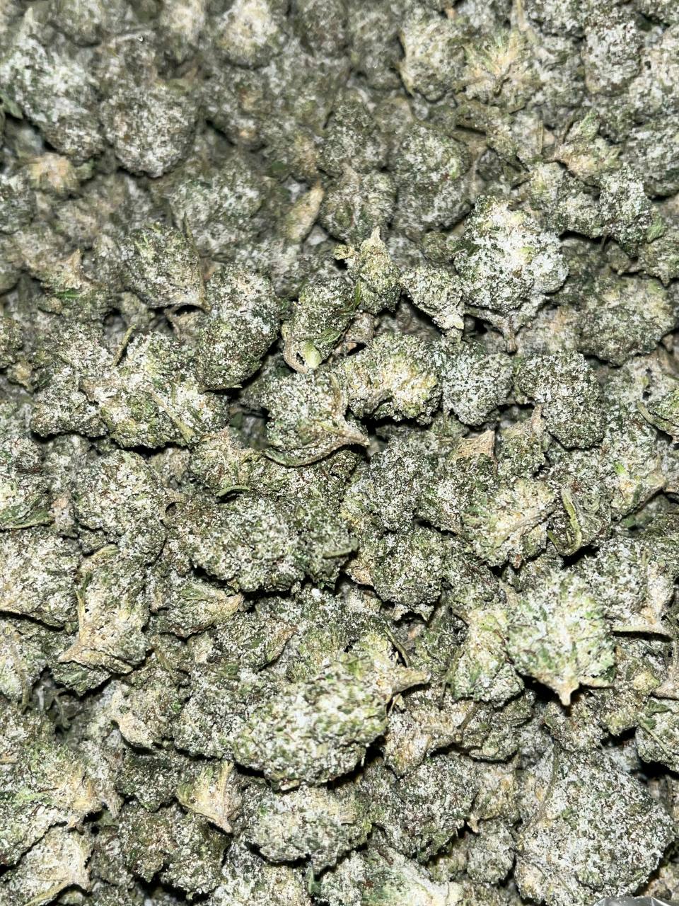 THCa Snowcaps Smalls 2 Buy Snocaps Smalls THCA