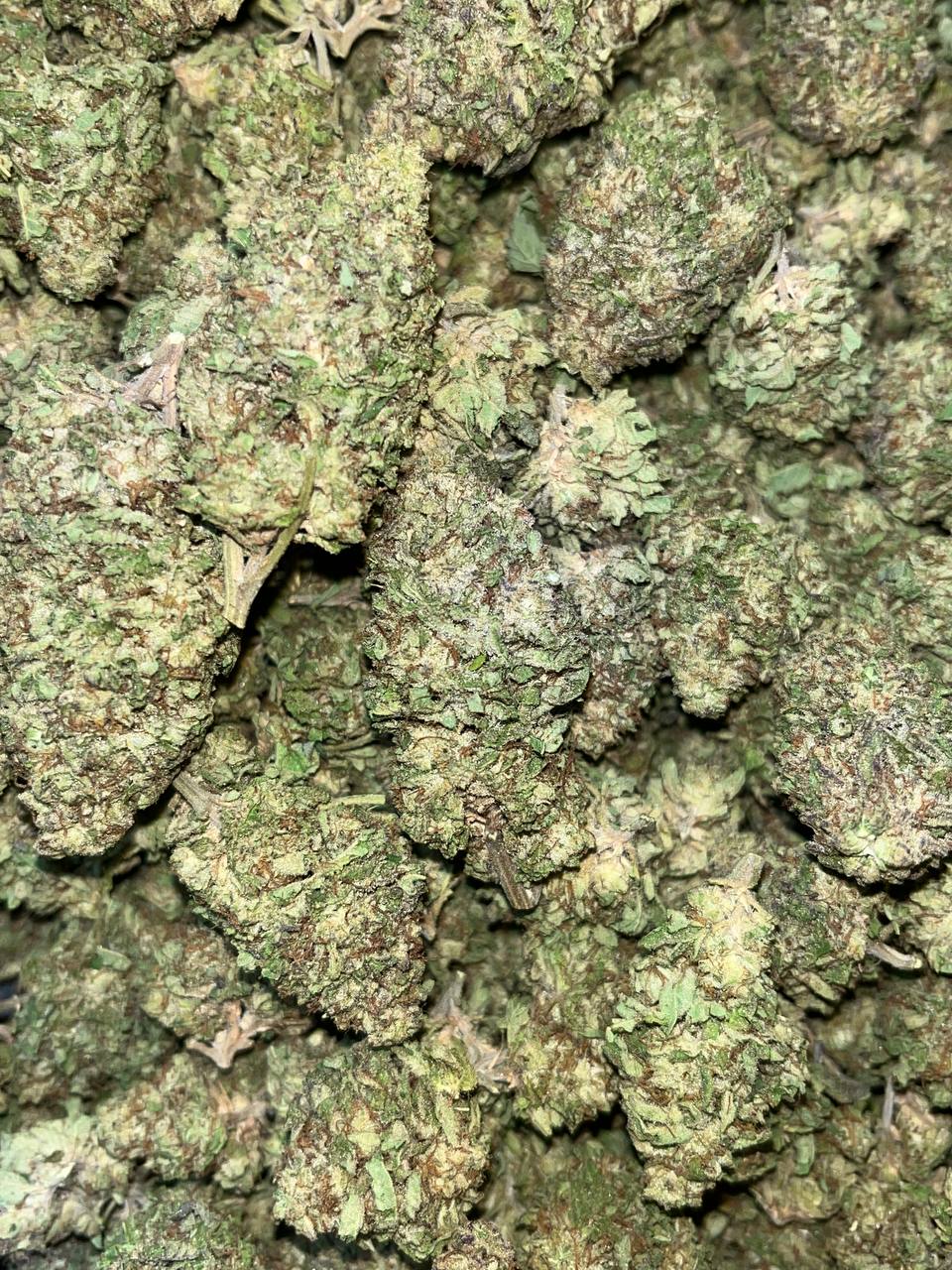 Gelato THCA 2 Buy Gelato THCA