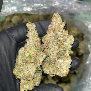 Gelato THCA Indoor