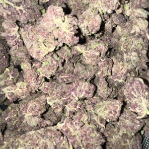 Wholesale Indoor-Grown THCa Flower