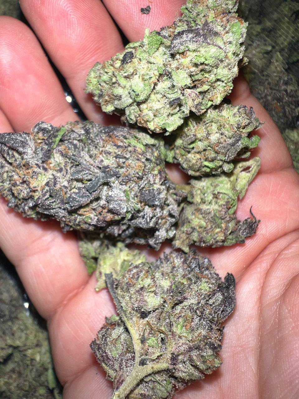 Jokerz THCa 2 Jokerz THCA