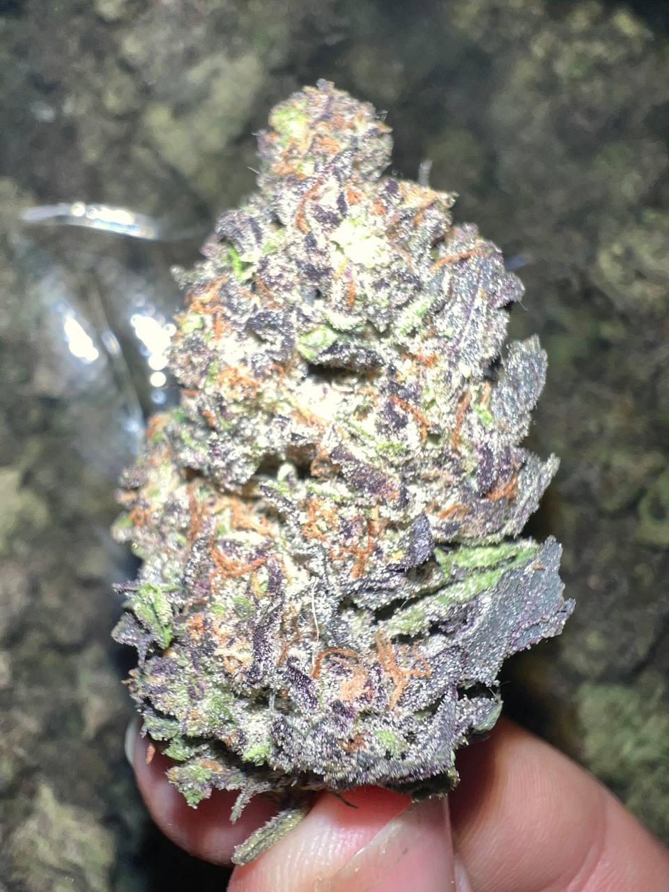 Jokerz THCa 1 Jokerz THCA