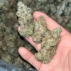 "Experience Rare Luxury with Orange Creamsicle EXOTIC THCA: 24-28% THC & Unique Terpenes"