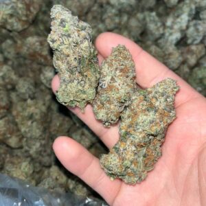 "Experience Rare Luxury with Orange Creamsicle EXOTIC THCA: 24-28% THC & Unique Terpenes"