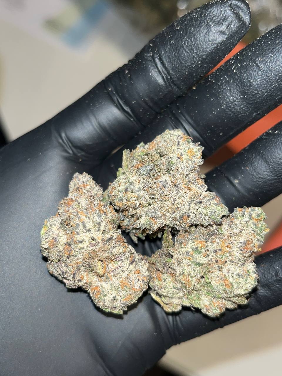 Oreo Blizzard THCA EXOTICS 1 "Experience Luxury with Oreo Blizzard THCA EXOTICS: Indulgent Blend & 26-30% THC"