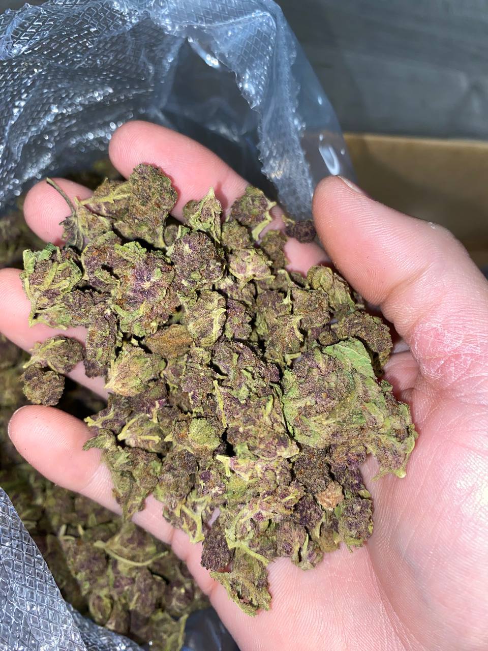 Queen Slayer THCa Smalls 1 Queen Slayer smalls THCA