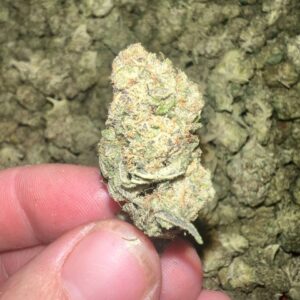 Sandia Gelato THCA