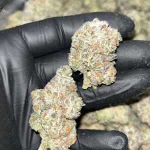"Experience Opulence with Slurricane THCA EXOTICS: Unique Lineage & 25-30% THC"