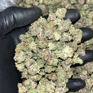 Our Exotic THCa Smalls contain 28 to 35% THCa, rare terpenes, and limited availability. Start wholesale bulk procurement. Purchase now!