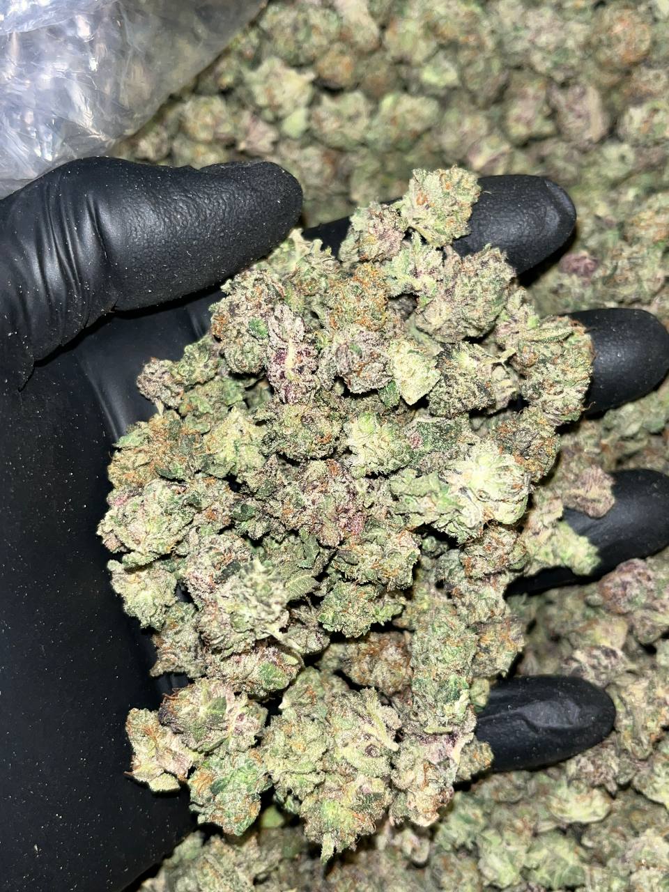 Exotic THCa Smalls 1 Our Exotic THCa Smalls contain 28 to 35% THCa, rare terpenes, and limited availability. Start wholesale bulk procurement. Purchase now!