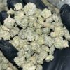 Snocaps Smalls THCA
