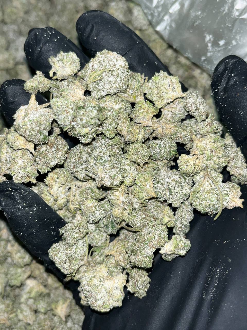 THCa Snowcaps Smalls 1 Snocaps Smalls THCA