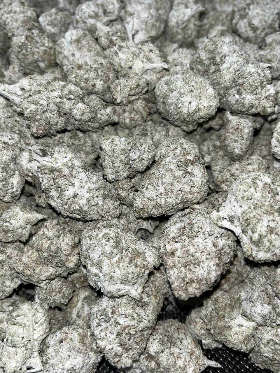 Snowcap Bigs THCA 2 Snowcap Bigs THCA