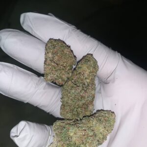 Sour Runtz