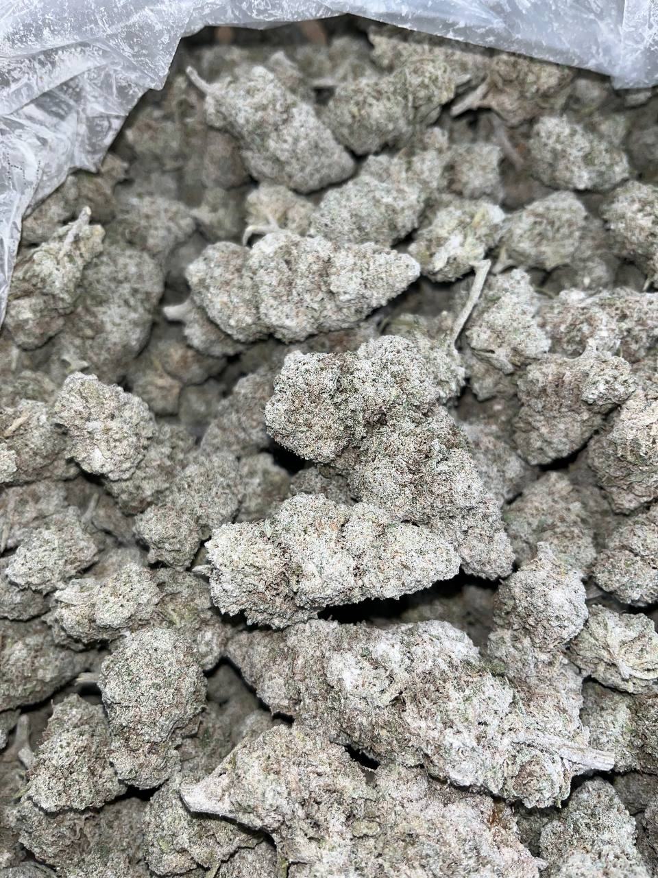 THCA Snowcaps 2 THCA SNOCAPS for sale