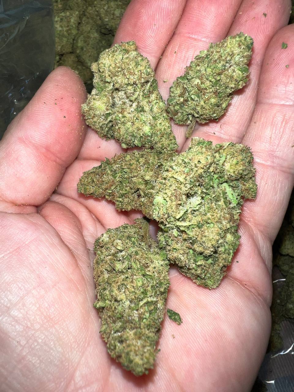 Lava Cake THCA 2 Lava Cake THCA
