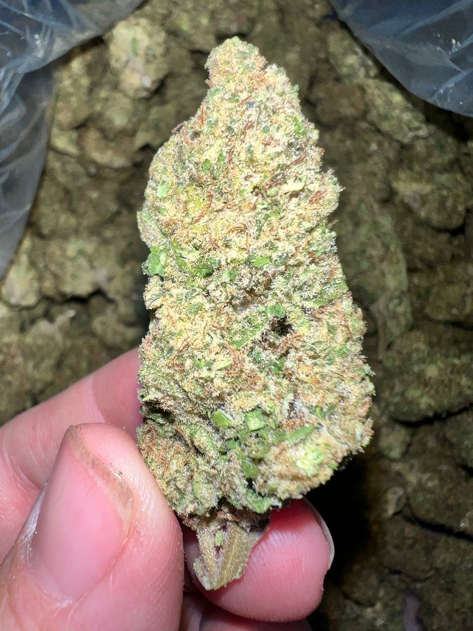 Lava Cake THCA 1 Lava Cake THCA