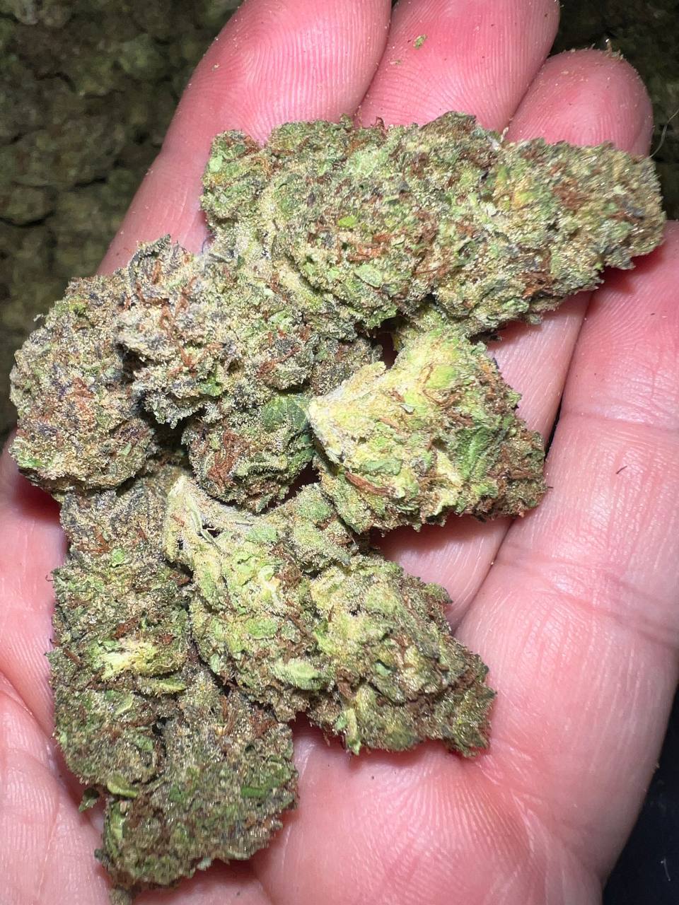 Slurpee THCA 2 Exotic cannabis flowers