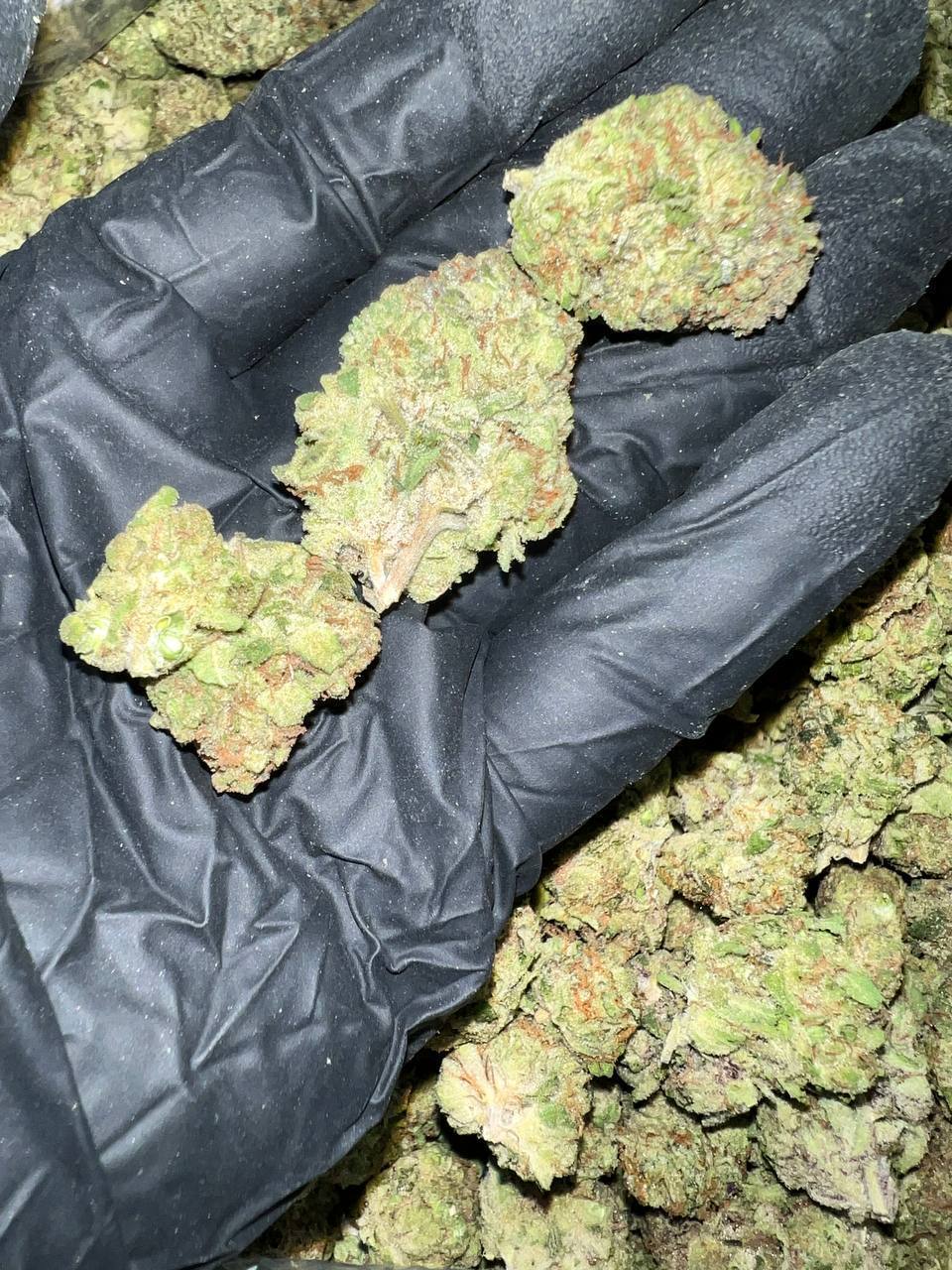 Detroit Runtz THCa 2 Detroit Runtz THCa