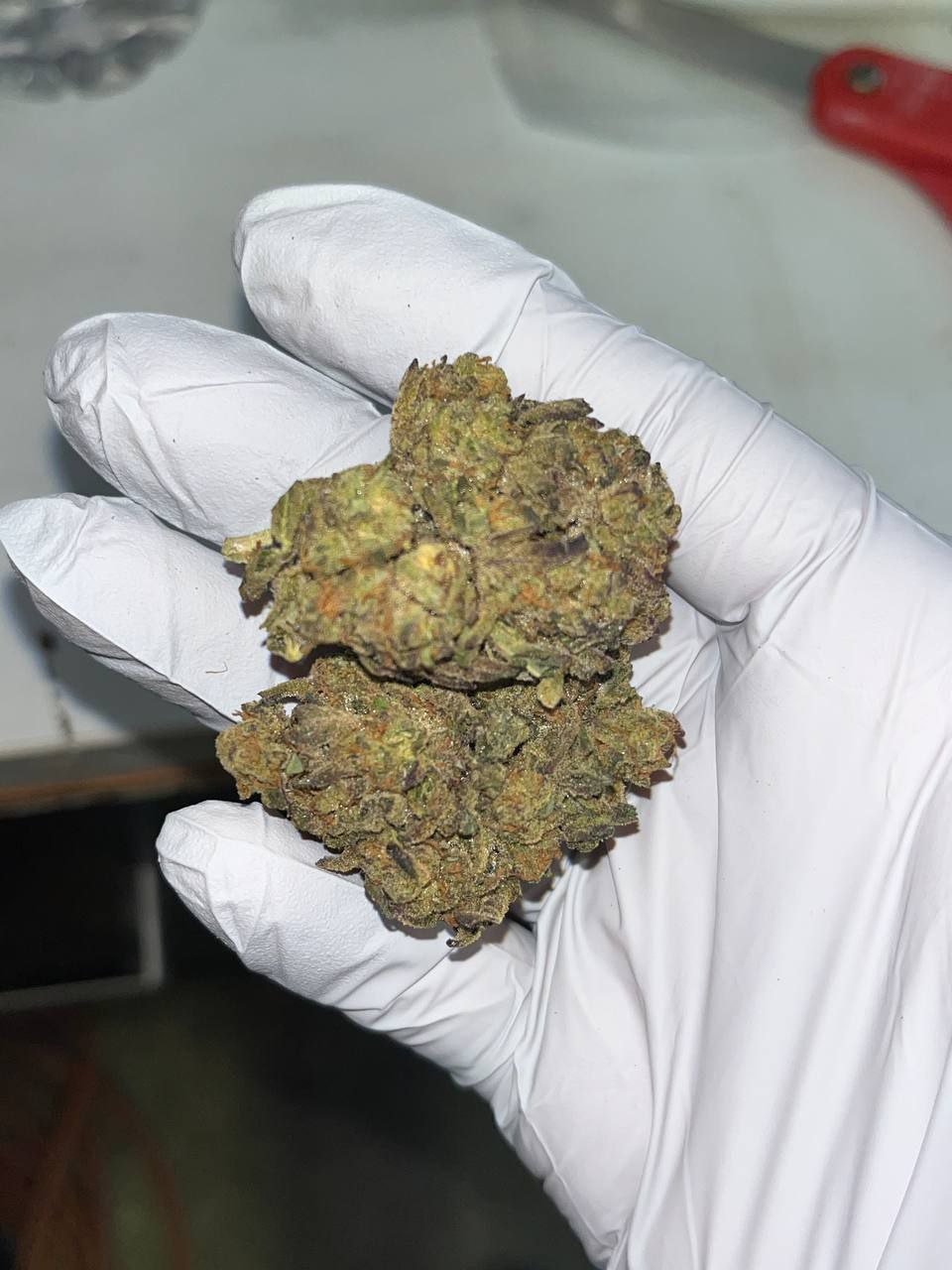 Jungle Driver THCA Flower 1 Jungle Driver THCA Flower