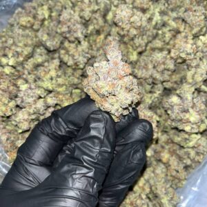 Pure Michigan THCA Exotic