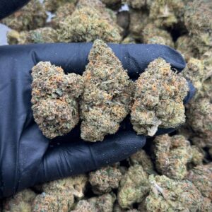 Purple Ice Pops THCA Strain