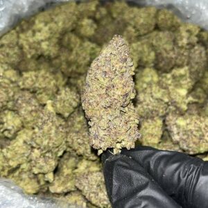 Trump Runtz THCA
