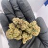 Blue Skittlez THCa