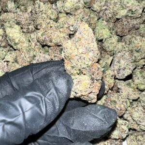 Bubble Gum Gelato THCa Flower - High-Potency Cannabis Strain for Wholesale