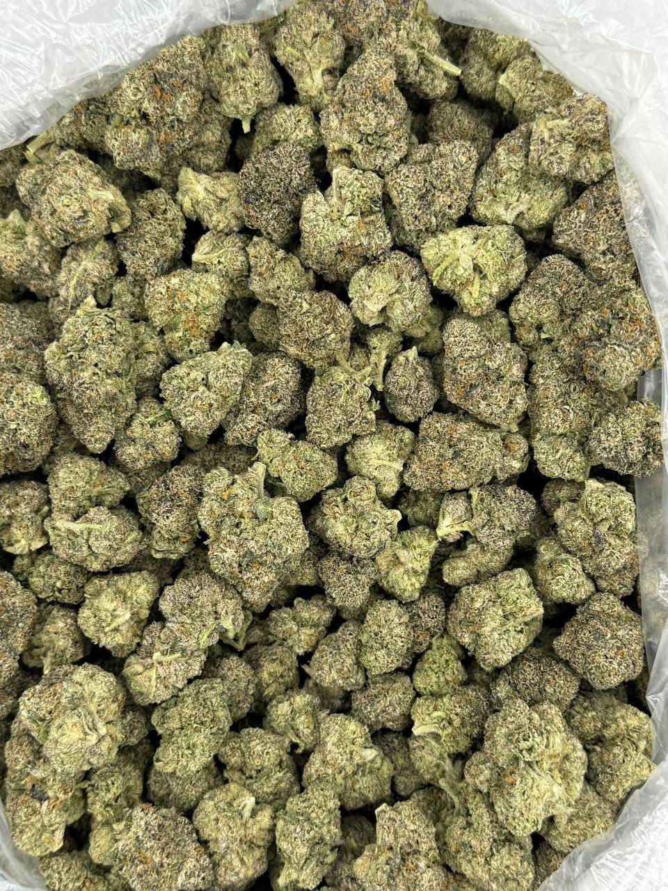 Candy Bolo THCa 1 Candy Bolo THCa