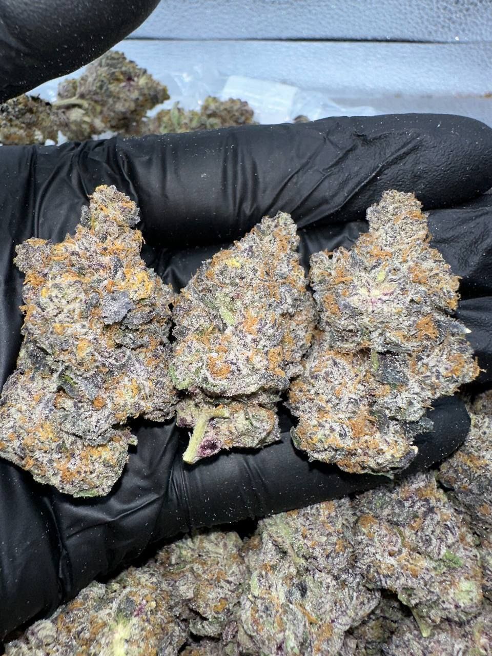 Candy Rain THCa 1 Candy Rain THCa