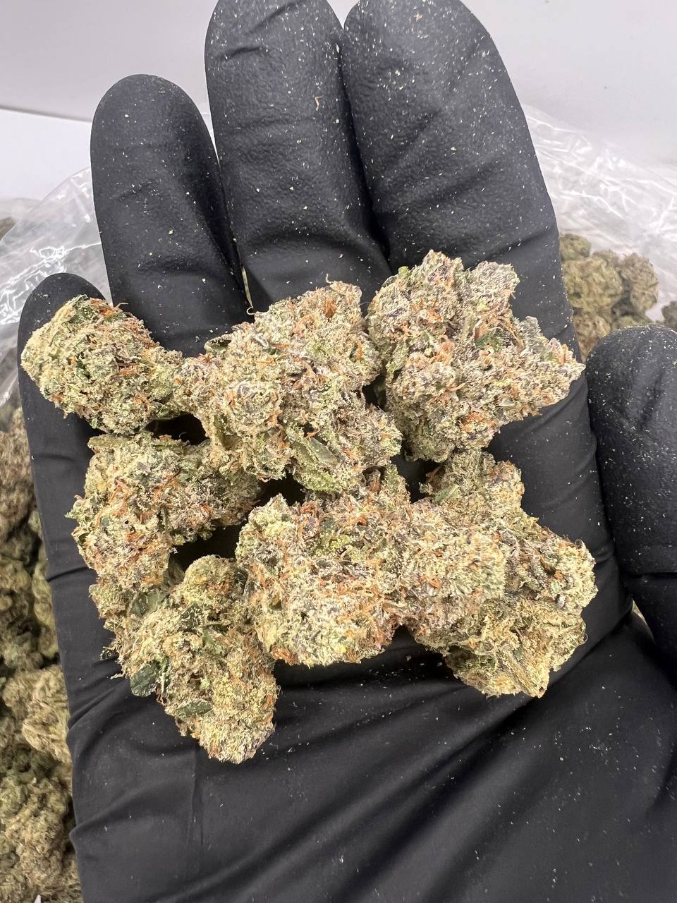 Cherry Runtz THCa 1 Cherry Runtz THCa