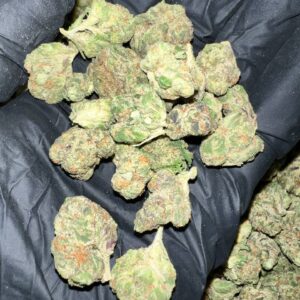 Dagashi Kush THCA Flower Bulk Wholesale