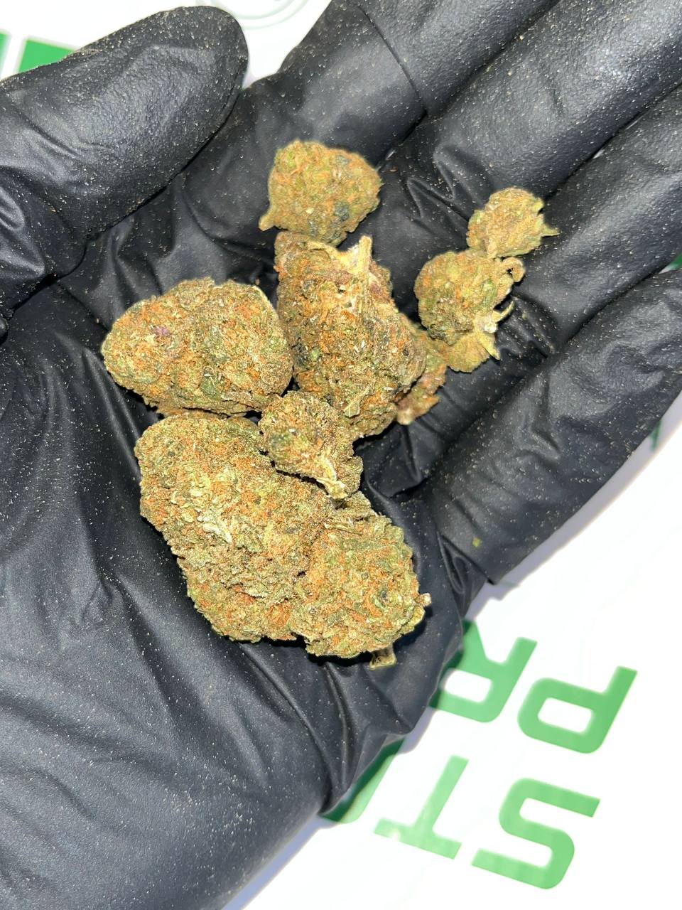 Diesel Cookies THCA Flower 1 Diesel Cookies THCA Flower Bulk Wholesale