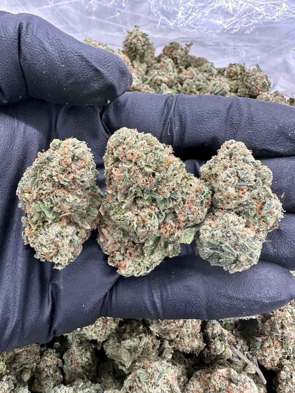 Gelato Runtz THCa 1 Gelato Runtz THCa