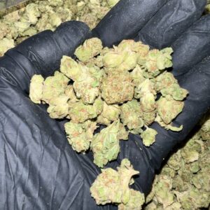 Hella Jelly THCa Flower Wholesale