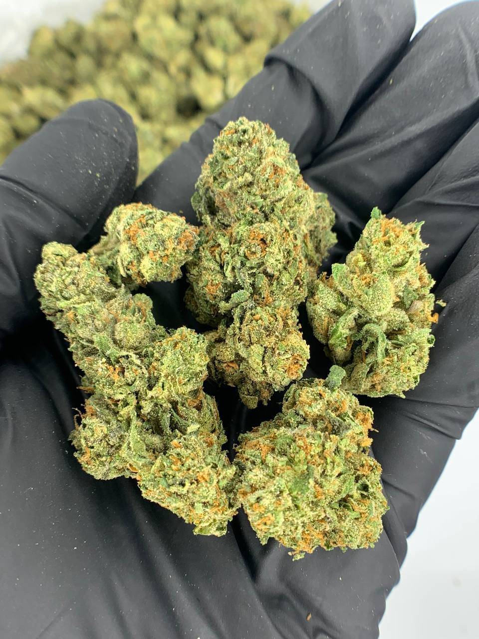 LCG THCa Flower 1 LCG THCa Flower