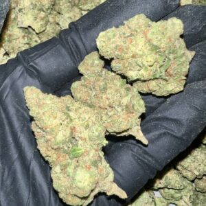 Papaya Bomb Exotic THCa Flower - Buy Wholesale THCa Flower Online