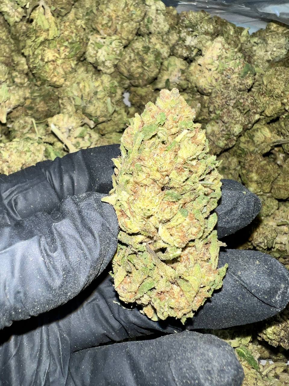 Zerealz Pie THCa Flower 1 Discover Zerealz Pie THCa Flower, available for wholesale. Grown in Oregon and third-party tested, our premium flower offers the best quality and competitive pricing.