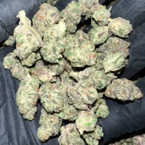 Secret Cookies THCa Flower Wholesale Purchase