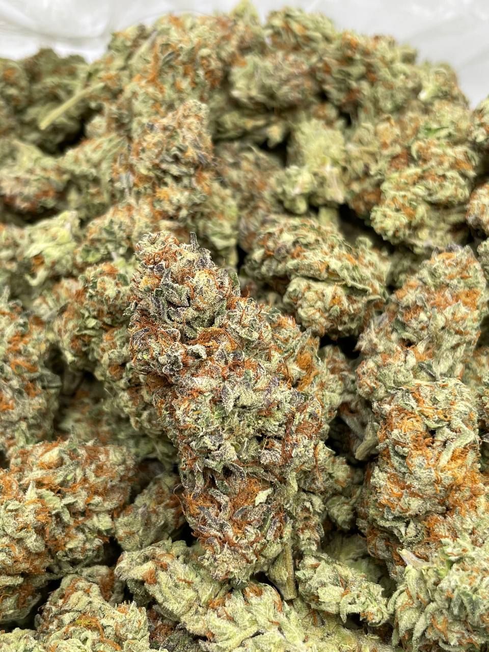 Sherblatto THCa Flower 1 Sherblatto THCa Flower