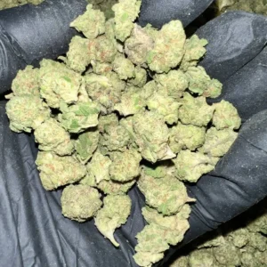 Wholesale Bulk Cannabis Smalls For Sale Near me 05 Gush Mintz EXOTIC smalls