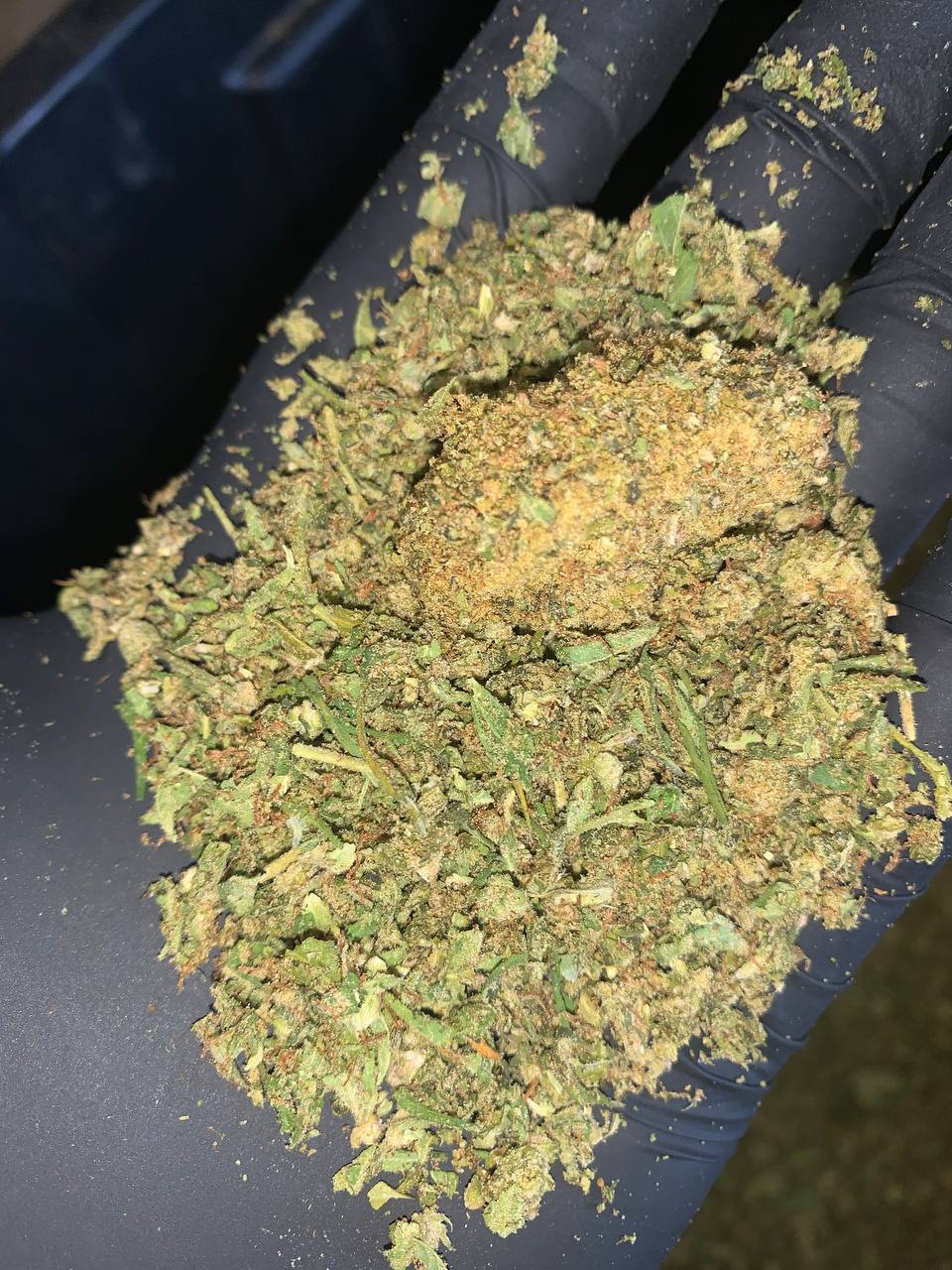 Indoor THCa Trim 1 Wholesale Cannabis Indoor Trim - Order Bulk THCa Trim