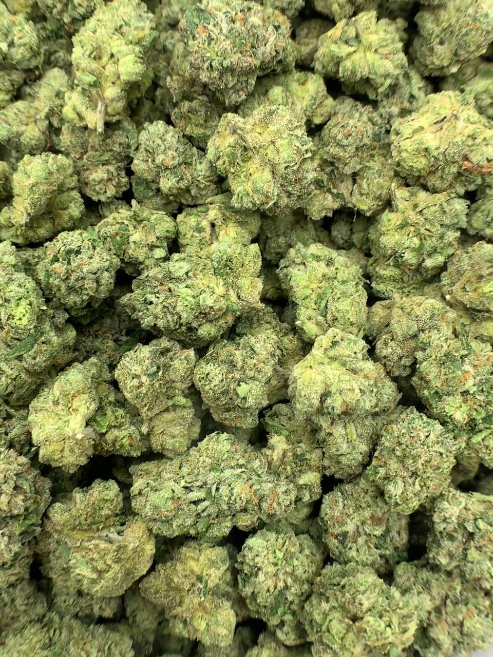 Candy Glue THCa Flower 2 Candy Glue THCa Flower - 29.1% THCa,