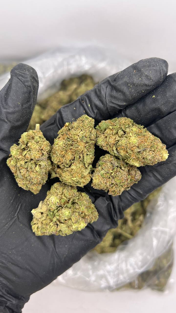 High Octane THCa Flower 1 Buy High Octane THCa Flower in bulk and offer your customers a high-powered flavor experience. 29.5% THCa,