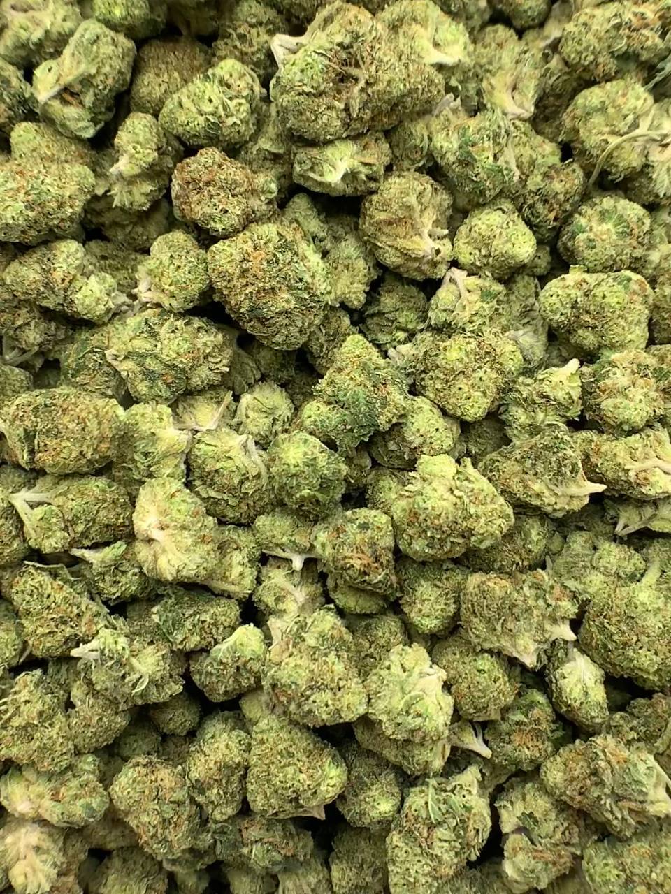 Larry OG THCa Flower 2 Buy Larry OG THCa Flower in bulk and offer your customers a classic OG flavor experience. 28.5% THCa,