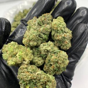 Buy Candy Glue THCa Flower in bulk and offer your customers a sweet and fruity flavor experience. 29.1% THCa,
